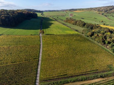 Nittel, Rhineland-Palatinate, Almanya çevresindeki teraslı üzüm bağlarının ve Machtum, Lüksemburg 'daki üzüm bağlarının sonbaharda Moselle Nehri boyunca uzanan manzarası.