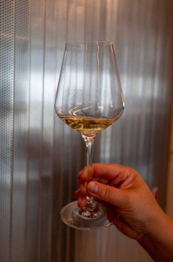 Lüksemburg 'daki Moselle Nehri vadisinde yapılan beyaz şarap tatma, Grevenmacher' da şaraphane ziyareti, teraslı üzüm bağlarından şarap, yakın çekim.