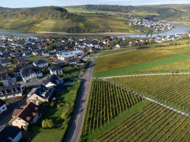 Nittel, Rhineland-Palatinate, Almanya çevresindeki teraslı üzüm bağlarının ve Machtum, Lüksemburg 'daki üzüm bağlarının sonbaharda Moselle Nehri boyunca uzanan manzarası.