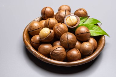 Avustralya Queensland Macadamia fındığı, ya da çalılık, maroochi, bauple fındığı, kesilmiş fındık, taze hasat yakın