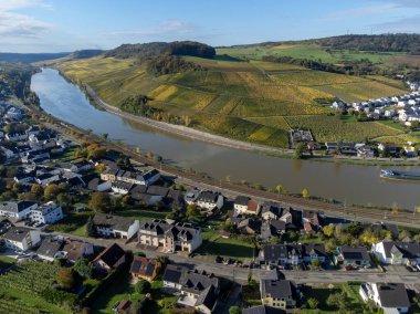 Aerial view of terraced vineyards around Nittel, Rhineland-Palatinate, Germany and views across Moselle River on vineyard hills of Machtum, Luxembourg in autumn clipart