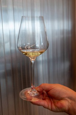 Tasting of white dry wine made on Moselle river valley in Luxembourg, winery visit in Grevenmacher, wine from terraced vineyards , close up clipart