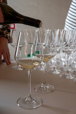 Lüksemburg 'daki Moselle Nehri vadisinde yapılan beyaz şarap tatma, Grevenmacher' da şaraphane ziyareti, teraslı üzüm bağlarından şarap, yakın çekim.