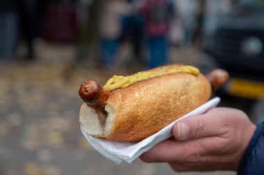 Alman sokak yemeği, sosisli sandviç ızgara sosis ve hardallı ekmek, fast food.