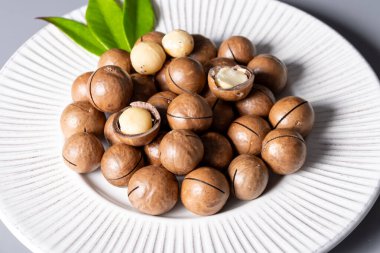 Avustralya Queensland Macadamia fındığı, ya da çalılık, maroochi, bauple fındığı, kesilmiş fındık, taze hasat yakın