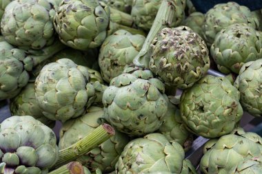 Yeni taze taze taze organik enginar hasadı Dordogne, Fransa 'daki yerel çiftçi pazarında.