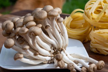 Making tagliatelle pasta with brown shimeji edible mushrooms, buna-shimeji is widely cultivated and rich in umami tasting compounds, vegetarian food clipart