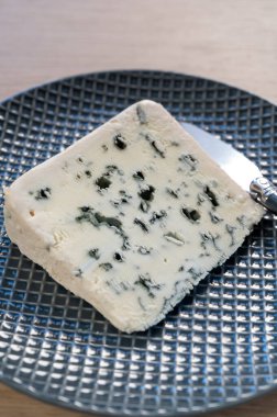 Fransız Rokfor peyniri, Fransa 'nın Rokfor-sur-Soulzon mağaralarındaki koyun sütünden yapılmıştır.