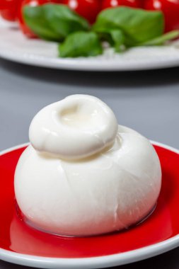Taze İtalyan peyniri, beyaz burrata topları ya da mozzarella ve kremadan yapılmış burratina peyniri yemek.