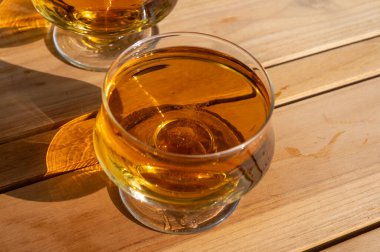 Güneşli bahçede yeni hasat edilmiş elmalardan yapılmış elma suyunun tadına bakmak, bir bardak elma şarabı.