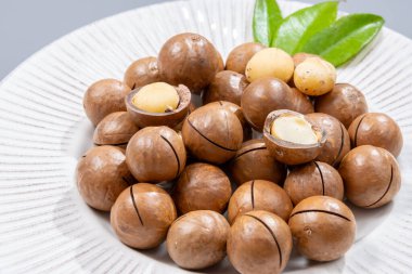 Avustralya Queensland Macadamia fındığı, ya da çalılık, maroochi, bauple fındığı, kesilmiş fındık, taze hasat yakın