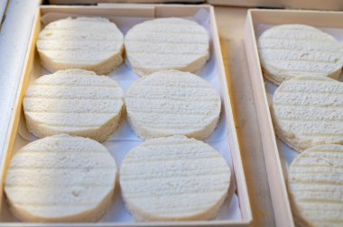 Perigord ve Quercy 'deki çiftlikte üretilen yumuşak kabuklu kauçuk yumuşak keçi peyniri, Fransa' da ayrılan Lot.