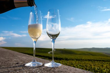 Ludes, Louvois, Val de Livre, Champagne, France yakınlarındaki yeşil üzüm bağlarında şampanya bardaklarına köpüklü şampanya dökülüyor.