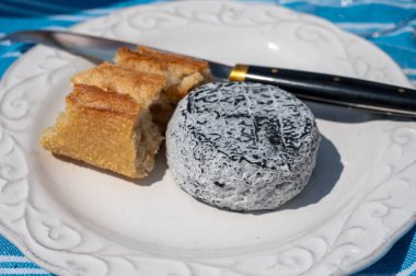 Picnic with cheese and baquette bread, French Cendre Lait cru Chevre black cheese made from goat milk with ash in France served outdoor clipart