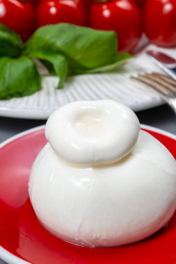 Taze İtalyan peyniri, beyaz burrata topları ya da mozzarella ve kremadan yapılmış burratina peyniri yemek.