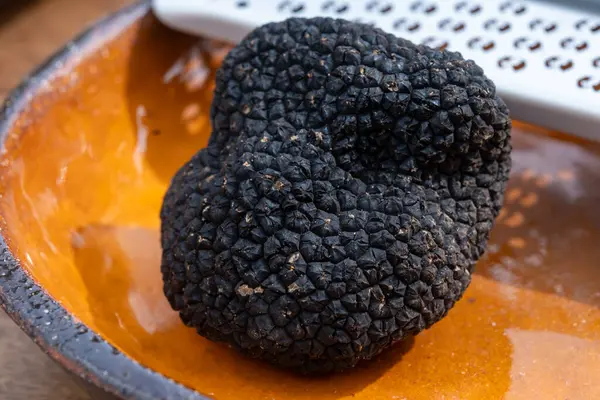 Lezzetli mantarlar, İtalya 'dan taze siyah mantar mantarı ve lezzetli aromalı mantar yemekleri yapmak için rende.