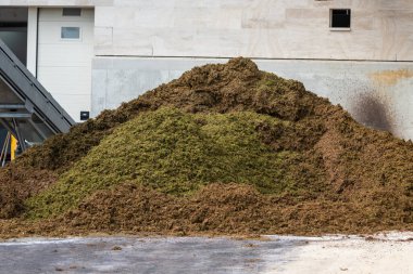 Şarap makinesi şarap, şarap, şarap, şampanya, köpüklü şarap üretimi, Grand Cru köylerinde Oger ve Mesnil-sur-Oger, şampanya, Fransa