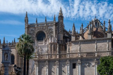 İspanya 'nın eski tarihi Endülüs kasabası Seville, Katedral Kilisesi' nde yürüyorum. Evlere, sokaklara, binaların mimari detaylarına bak. Seyahat güzergahı. Endülüs 'te yaz.