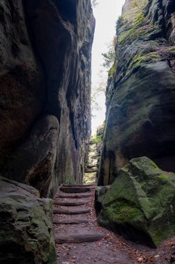 Mullerthal, Lüksemburg 'un Küçük İsviçre' si, yürüyüş yolları, kaya oluşumları, yosun kaplı ormanlar, Avrupa 'daki turizm beldeleri
