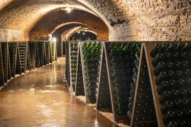 Riddling manual process in caves, wooden pupitres, traditional method of production of cremant sparkling wine in south part of Luxembourg country on bank of Moezel, Mosel river. Wine tour. clipart