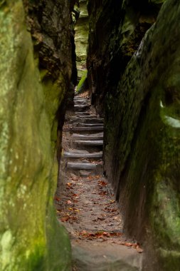 Mullerthal, Lüksemburg 'un Küçük İsviçre' si, yürüyüş yolları, kaya oluşumları, yosun kaplı ormanlar, Avrupa 'daki turizm beldeleri