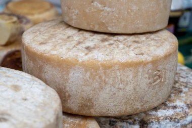 Biarritz, Fransa, Bask Bölgesi ve Pireneler 'de satılık koyun, inek ve keçi peyniri, Tomme, Fermier Brebis, çiftçi organik peynir