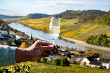 Tasting of sparkling white wine, traditional champagne method making of cremant in caves on Moselle river valley in Luxembourg, glass of wine and view on terraced vineyards clipart