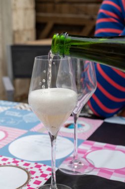 Şampanyada geleneksel Ambonnay metoduyla üretilen brut ve rezerv Grand Cru şampanyası köpüklü şarabı tatmak, Fransa 'nın Şampanya şehrinde