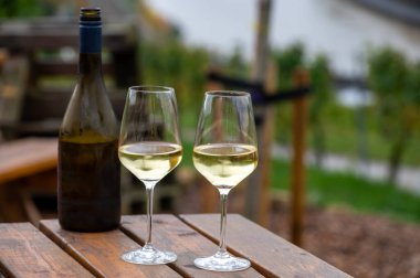 Glasses of white dry riesling wine made on Moselle river valley in Germany or Luxembourg, view on terraced vineyards in Nittel clipart