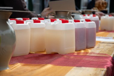 Schengen, Lüksemburg 'da sonbahar şarap festivali, Moselle Nehri Vadisi' nde, federasyon şarabı tatmak, fermente edilmiş taze mayalanmış yeşil üzüm suyu, ya da....