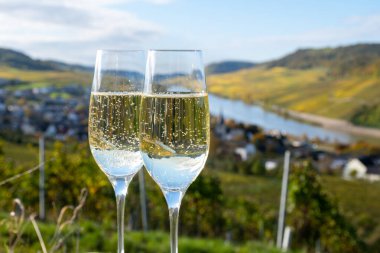 Beyaz şarap tatma, Lüksemburg 'daki Moselle Nehri vadisinde mağaralarda kıvrılma metodu, teraslı üzüm bağlarında şarap ve manzara.