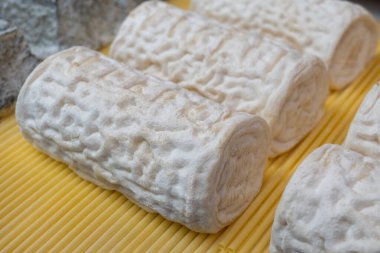 Fransız organik beyaz keçi peyniri buche de brebis. Dordogne 'daki çiftçi pazarına yakın beyaz küflü.