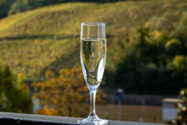 Tasting of sparkling white wine, traditional champagne method making of cremant in caves on Moselle river valley in Luxembourg, glasses of wine and view on terraced vineyards clipart