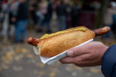 Alman sokak yemeği, sosisli sandviç ızgara sosis ve hardallı ekmek, fast food.