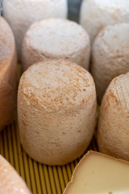 Sarlat-la-Caneda, Dordogne 'da haftalık çiftçi pazarı, çiftlikten Fransız peyniri, Pireneler' den küçük keçi peyniri tommette, Fransa