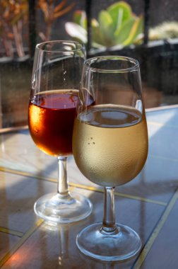 Sherry fino, manzanilla, olorosso şarabı, Jerez de la Frontera, Cadiz, Endülüs, İspanya 'nın eski kesimindeki Endülüs evinde servis edilen palomino beyaz üzümünden yapılmış güçlendirilmiş şarap.