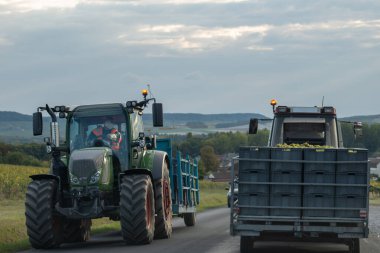 Üzüm hasadı işi, traktör dolusu üzümle baskı ve meyve suyu çıkarma, Gran Cru köyleri. Şampanyada Sonbahar Şarap Sanayi Bölgesi, Fransa.