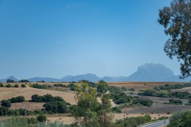 Dağ yollarında araba kullanmak, yaz mevsiminde ulusal park la Sierra de Grazalema, İspanya 'nın Endülüs beyaz köyleri turistik rotası