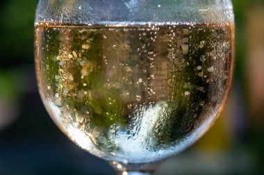 Bir sürü köpüklü Fransız şampanyası, köpüklü altın köpükler, İspanyol kava şarabıyla parti.