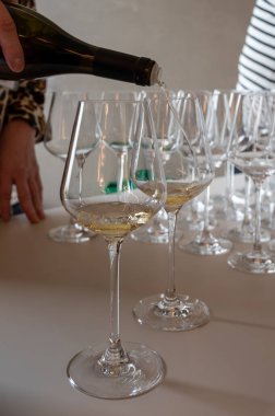 Lüksemburg 'daki Moselle Nehri vadisinde yapılan beyaz şarap tatma, Grevenmacher' da şaraphane ziyareti, teraslı üzüm bağlarından şarap, yakın çekim.