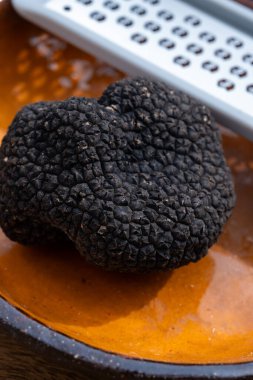 Lezzetli mantarlar, İtalya 'dan taze siyah mantar mantarı ve lezzetli aromalı mantar yemekleri yapmak için rende.