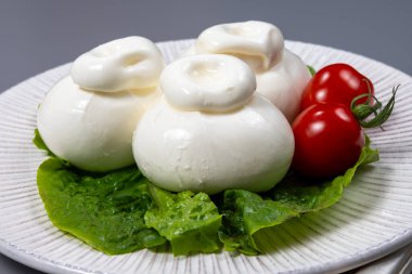 Eating of fresh handmade soft Italian cheese, white balls of burrata or burratina cheese made from mozzarella and cream or gorgonzola filling close up clipart