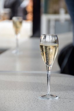 Beyaz şarap tatmak, Lüksemburg 'daki Moselle Nehri vadisindeki mağaralarda, şarap turu ve ziyaret mağaralarında geleneksel şampanya metodları.