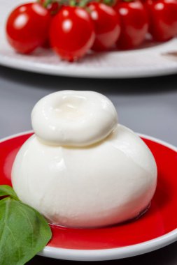 Taze İtalyan peyniri, beyaz burrata topları ya da mozzarella ve kremadan yapılmış burratina peyniri yemek.