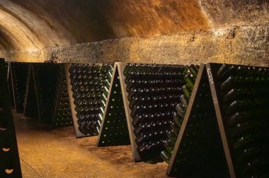 Mağaralardaki bilmeceler, ahşap öğrenciler, Moezel, Mosel nehri kıyısındaki Lüksemburg ülkesinin güney kesiminde geleneksel köpüklü şarap üretim metodu. Şarap turu.