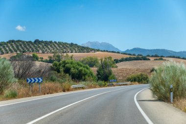 Dağ yollarında araba kullanmak, yaz mevsiminde ulusal park la Sierra de Grazalema, İspanya 'nın Endülüs beyaz köyleri turistik rotası