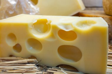 İsviçre peyniri koleksiyonu, sarı ekosistem ya da çiftçi pazarına yakın yuvarlak delikli emmental peynir.
