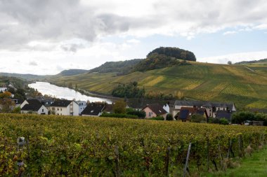 Nittel, Rhineland-Palatinate, Almanya çevresindeki teraslı üzüm bağlarının panoramik manzarası ve sonbaharda Grevenmacher yakınlarındaki Lüksemburg 'un üzüm bağlarındaki Moselle Nehri boyunca manzarası