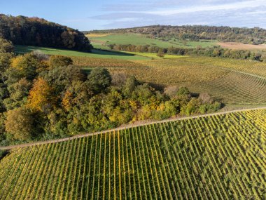 Nittel, Rhineland-Palatinate, Almanya çevresindeki teraslı üzüm bağlarının ve Machtum, Lüksemburg 'daki üzüm bağlarının sonbaharda Moselle Nehri boyunca uzanan manzarası.