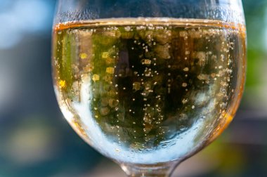 Bir sürü köpüklü Fransız şampanyası, köpüklü altın köpükler, İspanyol kava şarabıyla parti.